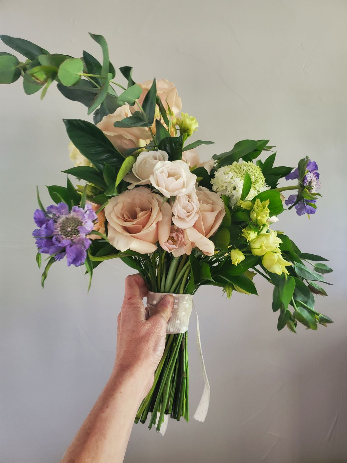Blush garden rose bridal bouquet with cream lisianthus and violet scabiosa