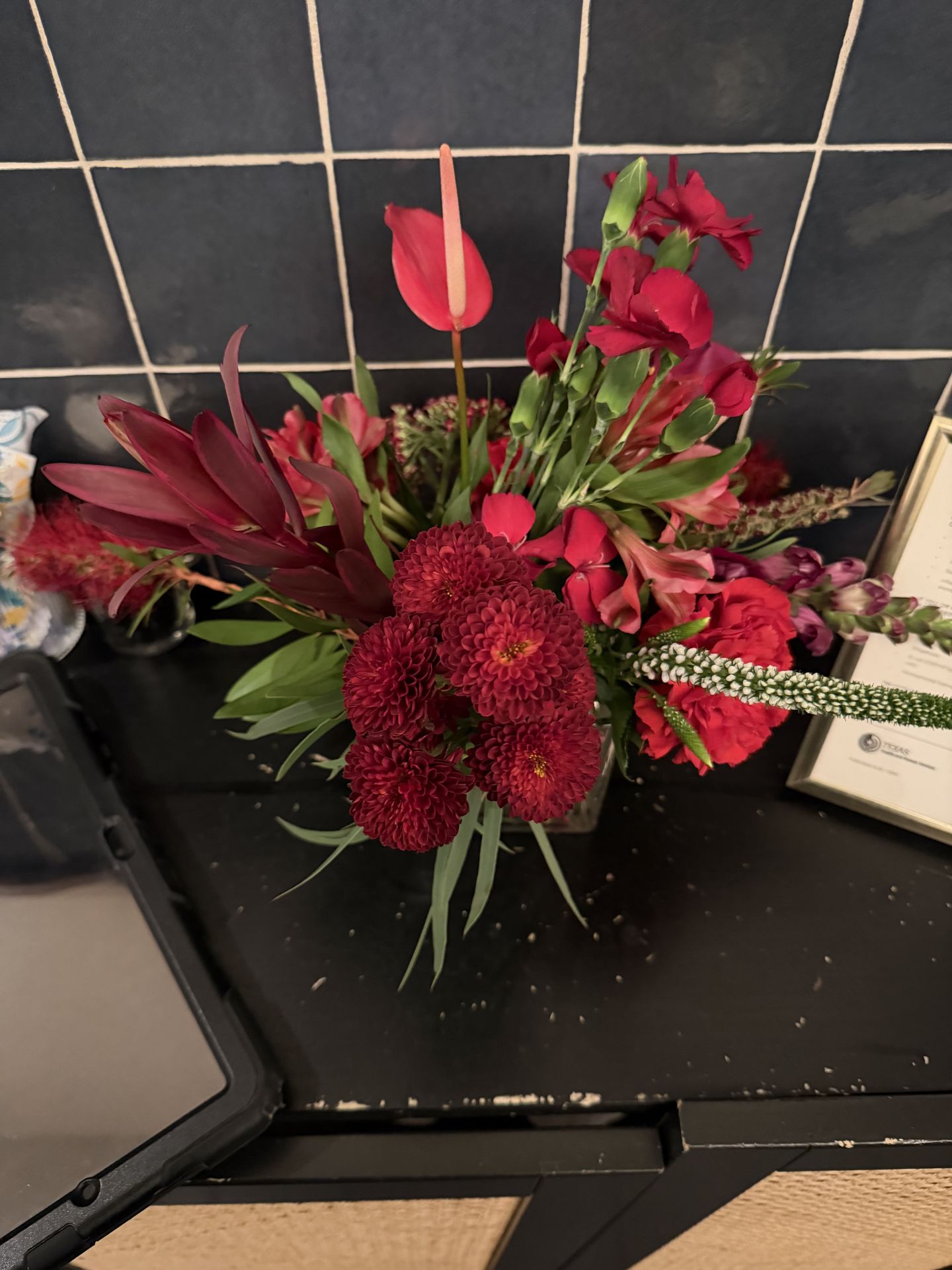 Red anthurium, carnations, and leucadendron in a tonal crimson study — bold, modern, and unapologetic.