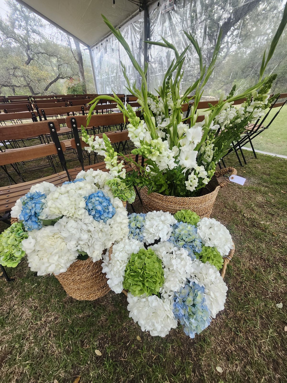 Baskets of blue and white hydrangea lining a tented ceremony aisle, anchored by a tall arrangement of white stock and gladiolus.