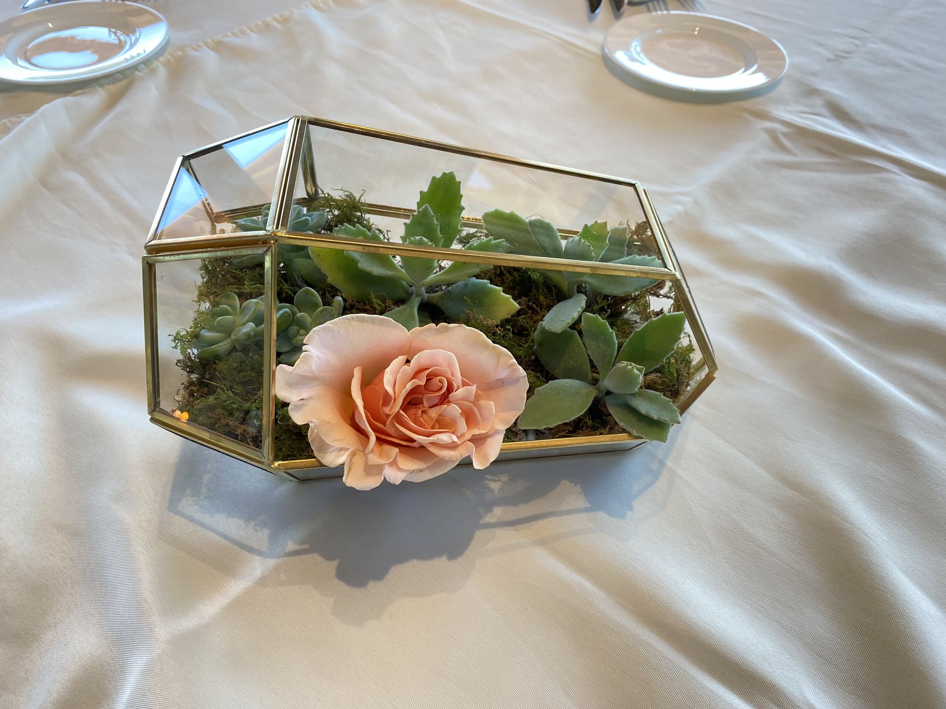 Soft peach roses layered with creamy neutrals and trailing eucalyptus — warm, inviting, and effortlessly on-brand.